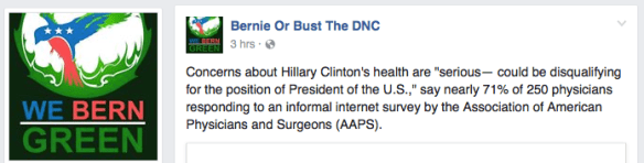 bernie-buster